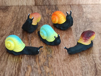 
              Squishy Squidgy Snailz Soft Sensory Fidget Snails With Tactile Shell
            
